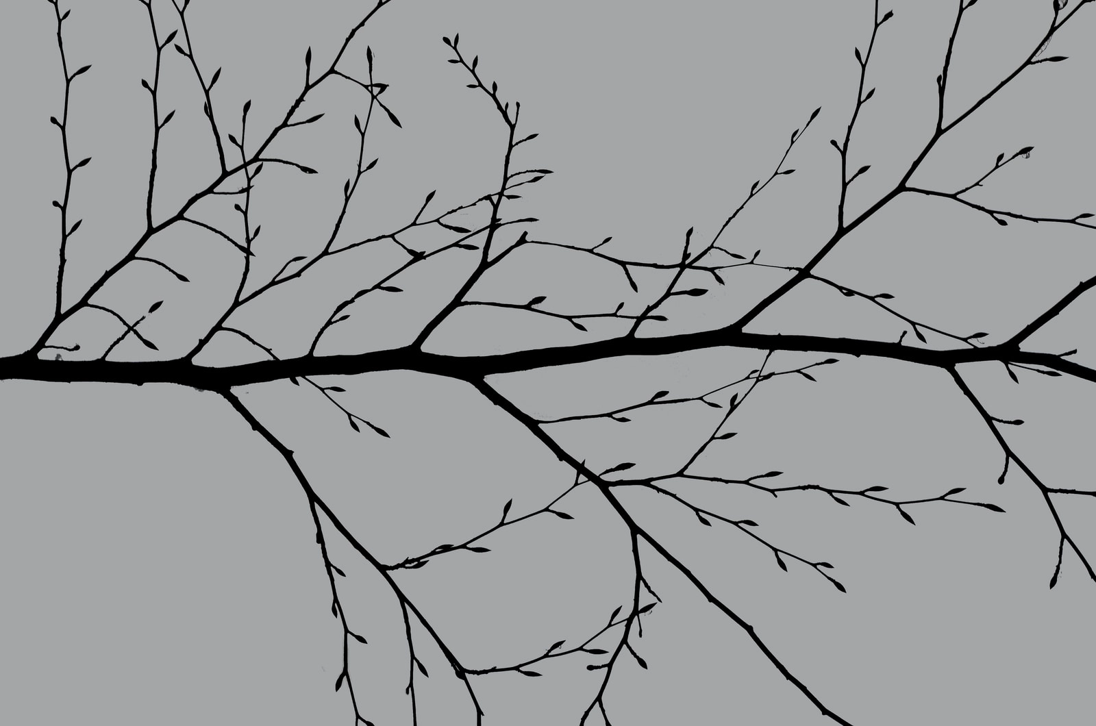 Read more about the article Git Branching and Merging: A Step-By-Step Guide