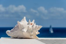 Azure Cloud Shell: Getting Started Guide